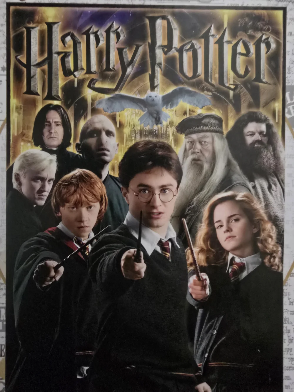 Harry Potter Movie Poster - Black, Gold, White